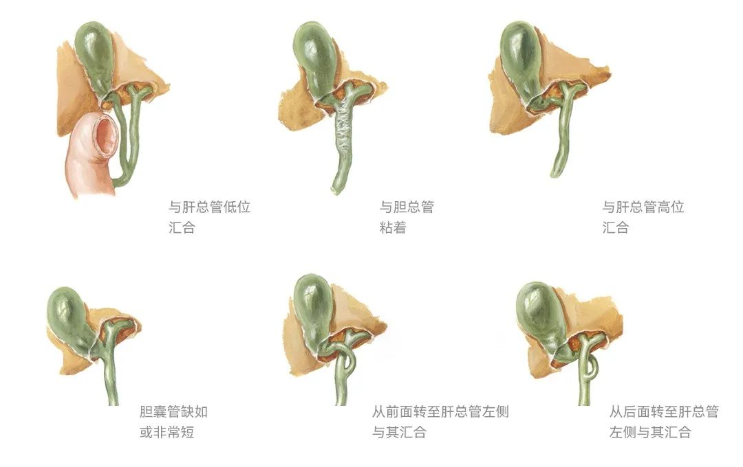 圖片.png