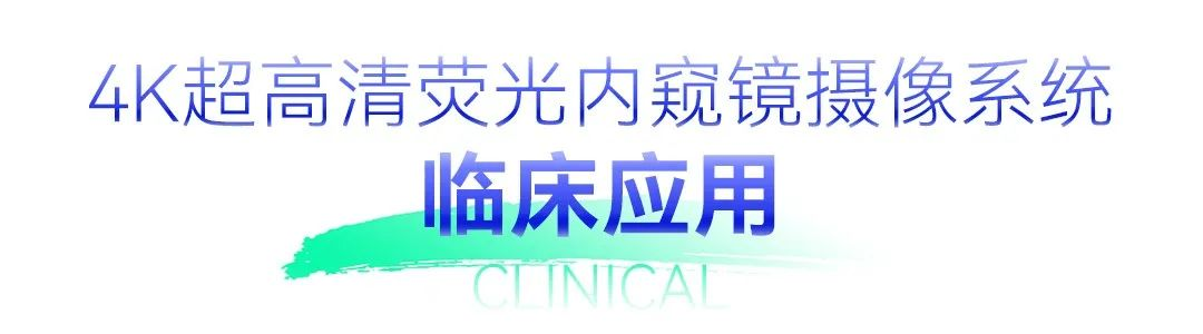 圖片.png 圖片.png