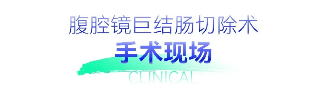 圖片.png 圖片.png